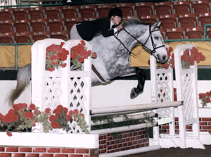 Erin Crenshaw, horse